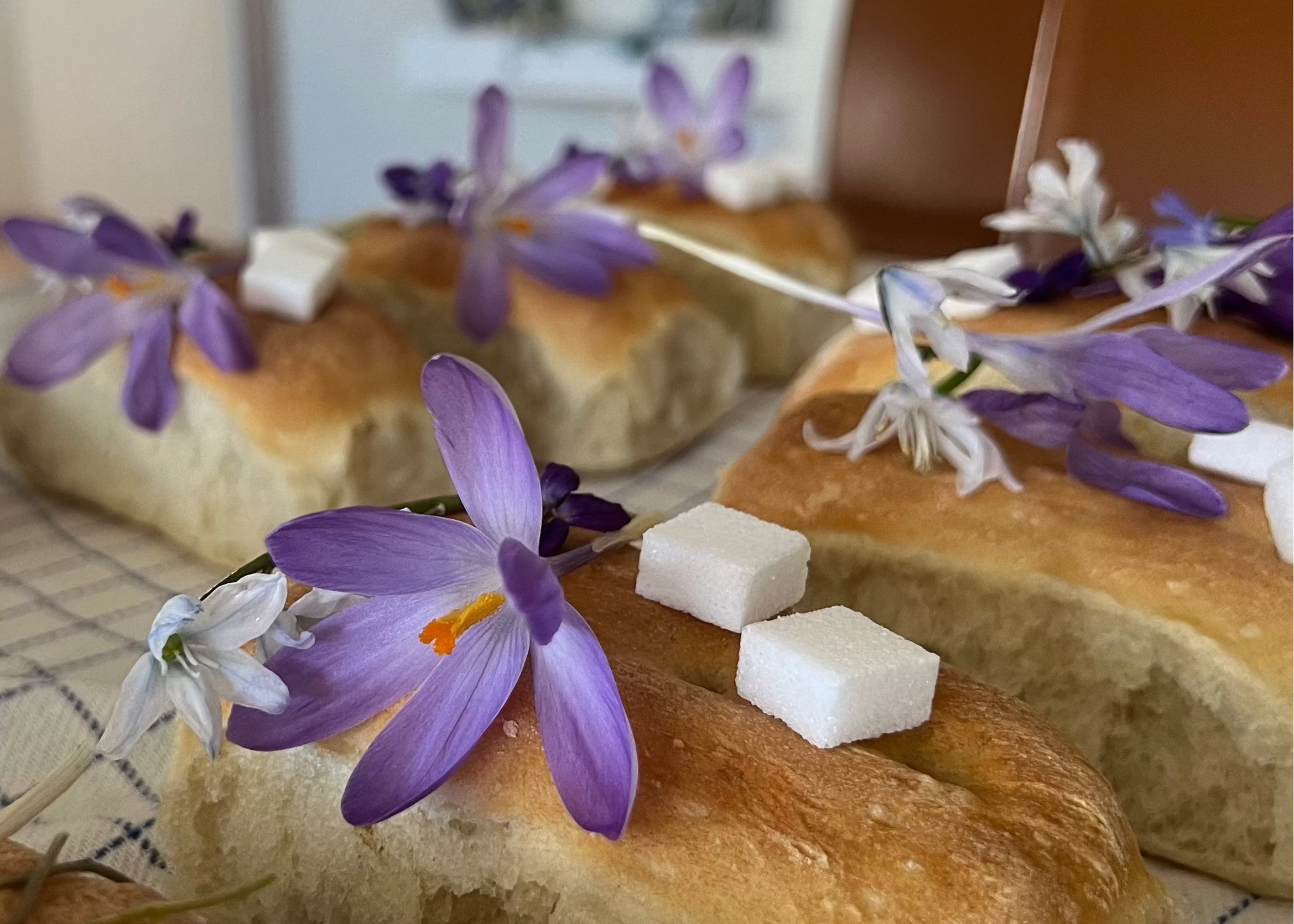 Håndlavet vegansk serbisk brød